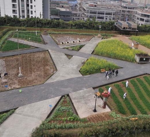 �����¥���֡�����ũ������