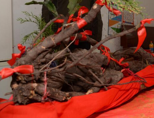 �㽭��һ�����ڵ���״�� ����ǧ��Ұ�������ڡ�