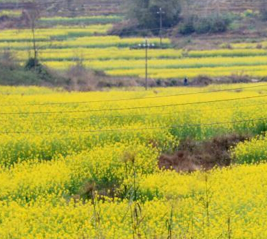 ������Ķ�Ͳ˻������ο�̤��æ��