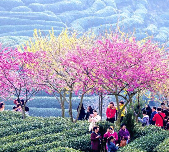 ����½����ɽ������ӣ����������