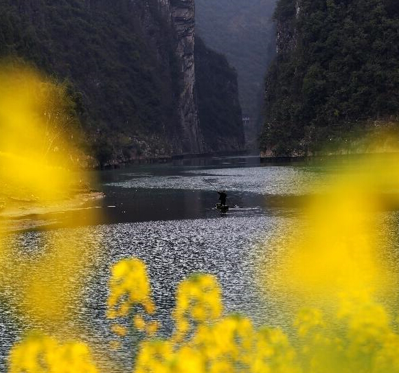 Ͽ�ȴ��绨Ʈ�㡱