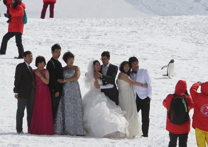 �й����ϼ������� �������Ļ�ɴ�տƿ�վ���