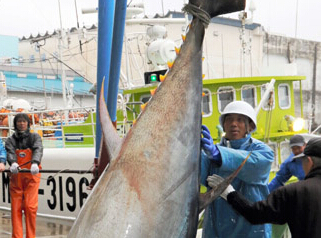 �ձ��͸�ɽ����614���ǹ�� ϵ2015�����ء�