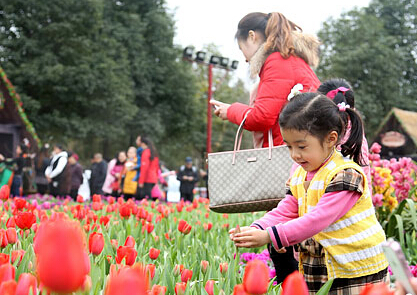 �ɶ���ɳ̫���ڴ��������㻨�������ο͡�