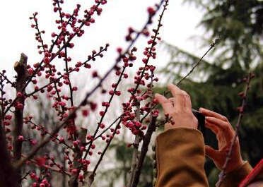 �����������������Ѱ����������