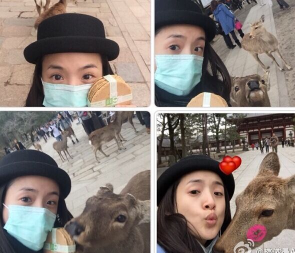 组图:林依晨携父母游日本 活泼可爱与小鹿玩耍”