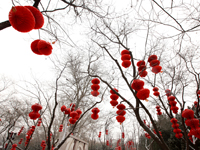 ����֮������߹� ѩ�е�̳����ʤ�ա�