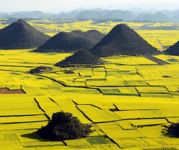 ������ƽ���Ͳ˻��������ԡ�