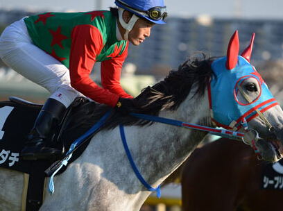 �ձ�һ�����������ϵ���ɱ ��ǰ����������