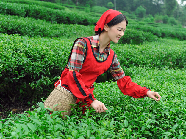 �˱��崿�ɲ�Ů ���紺���вɲ� ����Ψ����