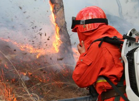 �������������ط���ɽ�� ɭ�������˾ȡ�