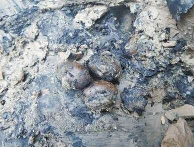 ����һ�������ڳ��γ����� ����Ƴ��Ž���(ͼ)��