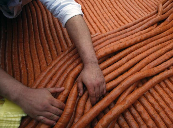 ����ά�Ǿٰ��㳦�� ��ʦ����2031���㳦��