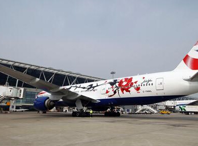 Ӣ�����ա�����Ӣ�ס��ʻ�ɻ��ֻ���