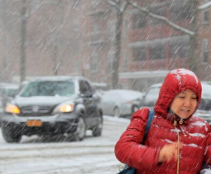 �������ֵ������Ⱪ��ѩ����Ϯ����