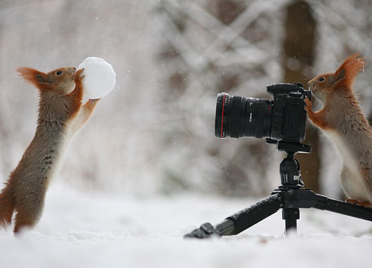 �������������Ӱʦ�� ��ͬ����ѩ����Ƭ��