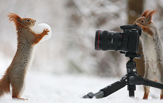 �������������Ӱʦ�� ��ͬ����ѩ����Ƭ��