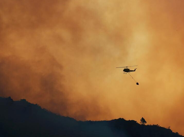 �Ϸǿ��ն�ɭ�ִ�� ����ǿ������3000���ꡱ