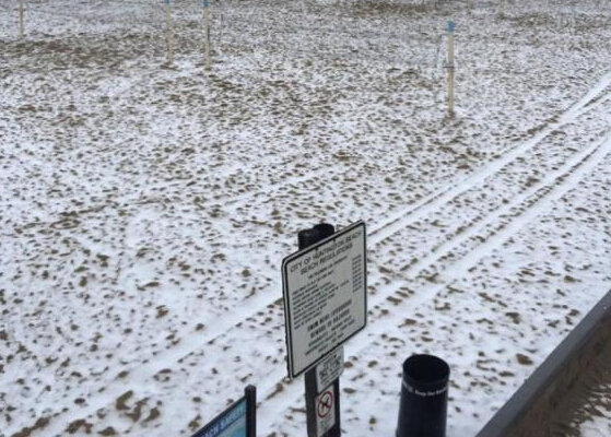 �����������������Ϯ�� ��͢�ٺ�̲����ס���