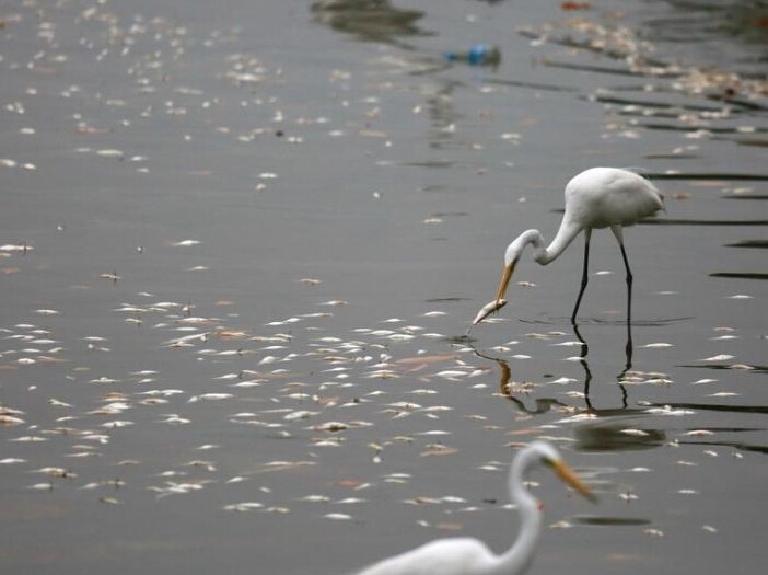 �������Ǻ��ִ����������������ʳ��