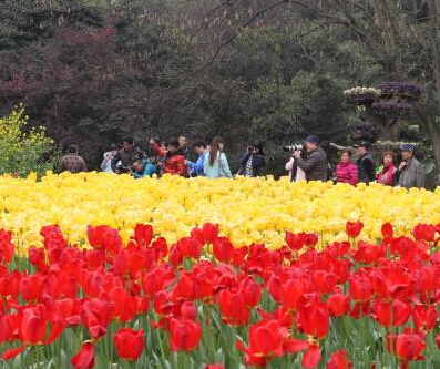 ���컨��԰10�������������š�