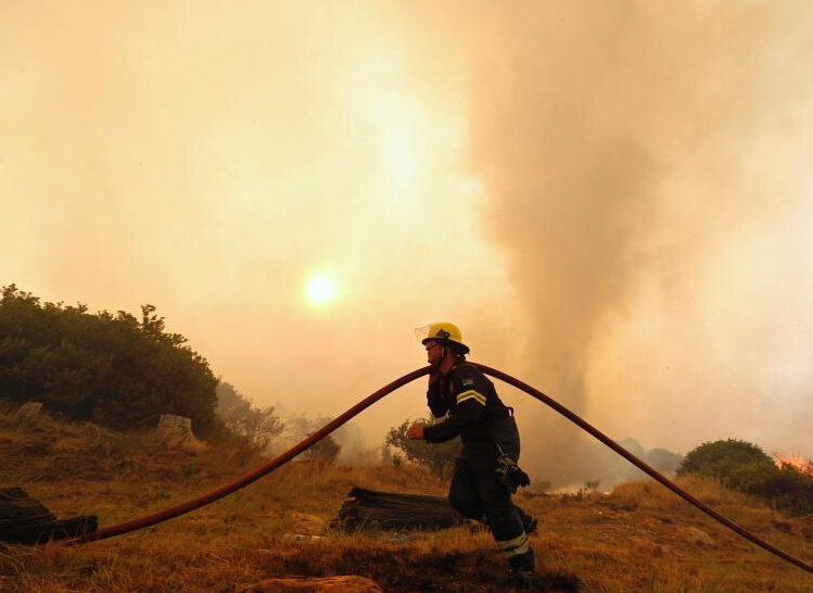 �Ϸǿ��ն�ɽ����� �ֳ�Ũ�̹�����