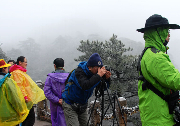 黄山现羊年春节后首场雾凇 黄山人凭证件免费游”