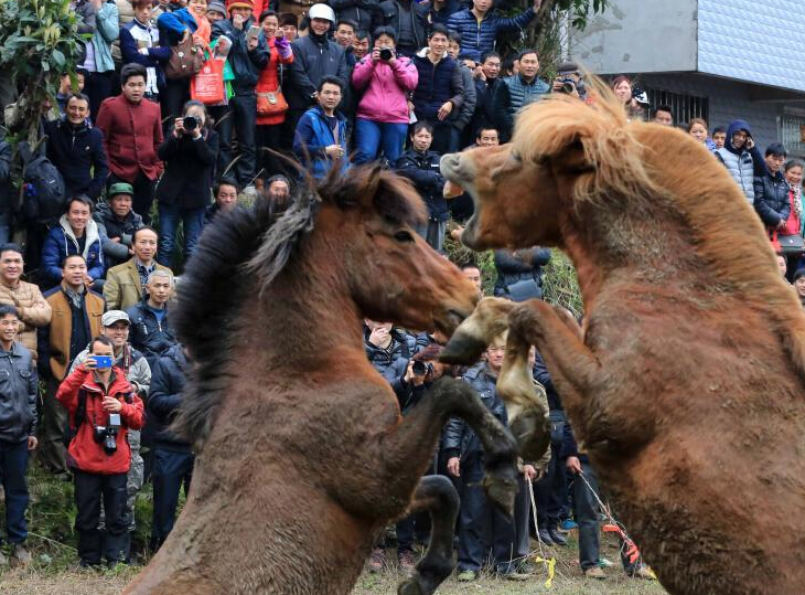 ������կ���д�ͳ�������