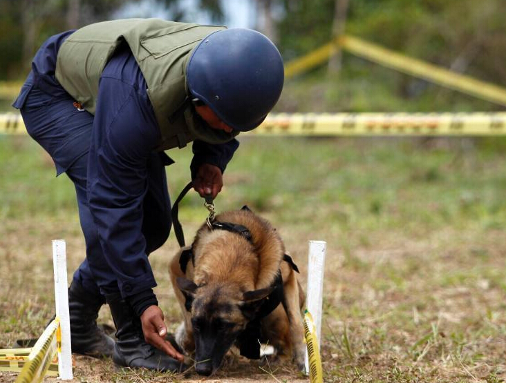 ���ױ���ʿ�������˵��������׹�����