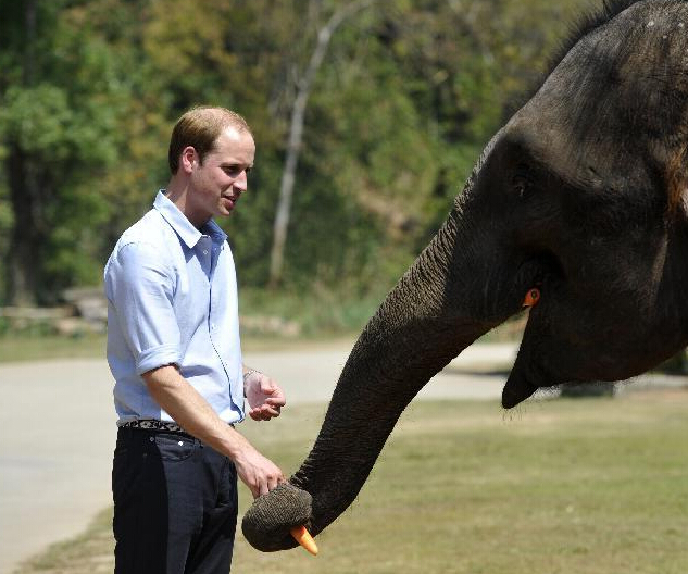 ��������̽����������Դ�������ء�