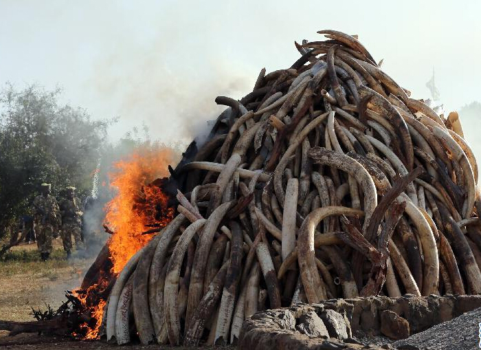 �����Ǽ��зٻ�15����˽������