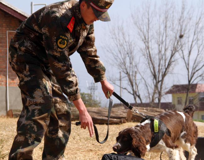 ͼ˵�侯�ѱ�Ȯ�����Ľ�С��ë�Ƴ��ﹷ��