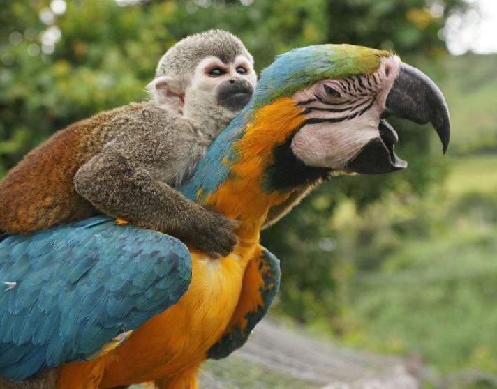 �̵㶯������ࡰ��㳵�� �����������˱�Ц��