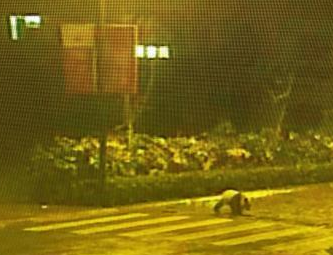 �봨����è��ҹ���й�� ����·�߰����ߡ�