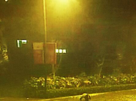 �봨����è��ҹ���й�� ����·�߰����ߡ�