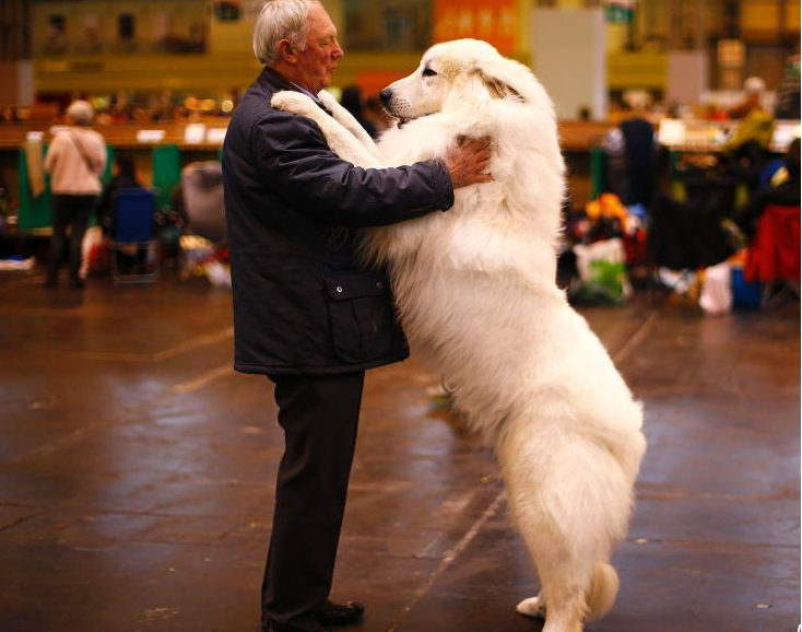 Ӣ����³���ȹ�չ�ڲ�������Ļ ��ɫ�������涷�ޡ�