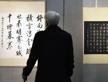 Ӱ̳�ľ����黭��չ�ڹ��ݿ�Ļ��