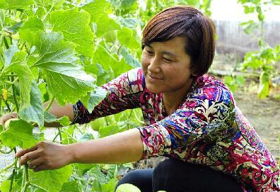 ���ݵ� ũ��æ��