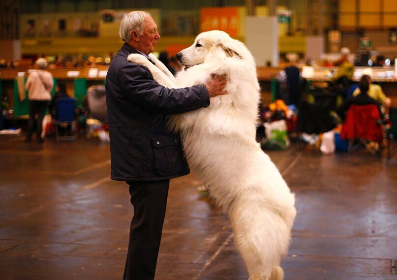 Ӣ����³���ȹ�չ�ڲ�������Ļ ��ɫ�������涷�ޡ�