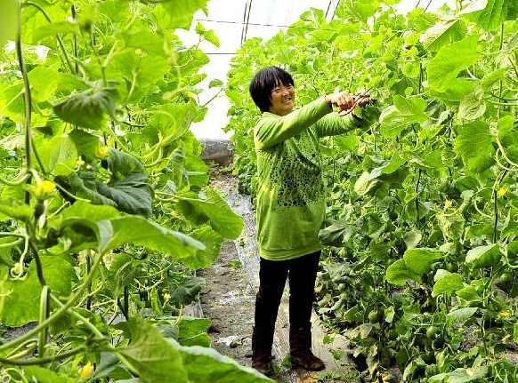 ���ݵ� ũ��æ��