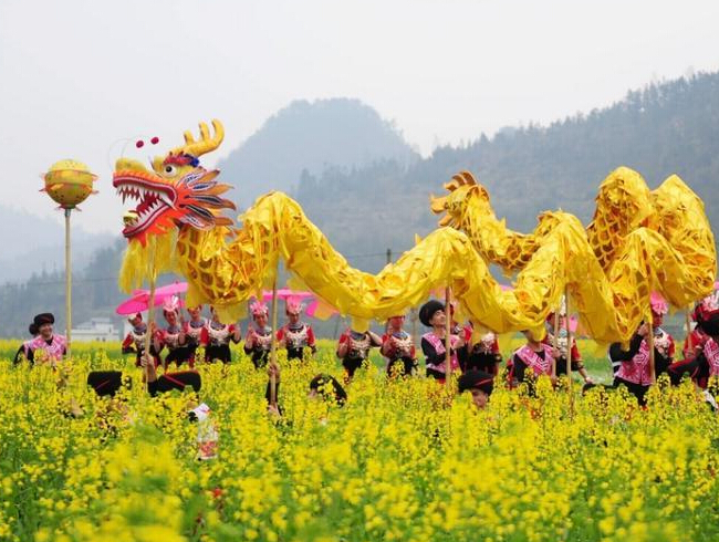 湖南吉首油菜花地上演“接龙舞””