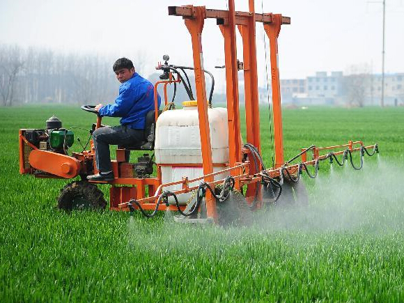 ���ڴ����� ��������æ��