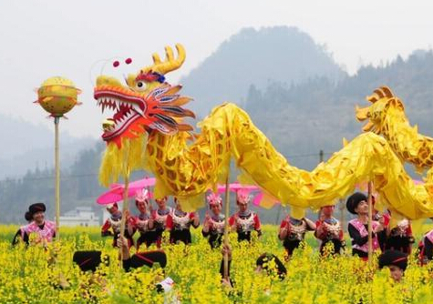 湖南吉首油菜花地上演“接龙舞””