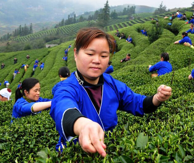 ��������������������Ů���ɴ����조���ˡ���