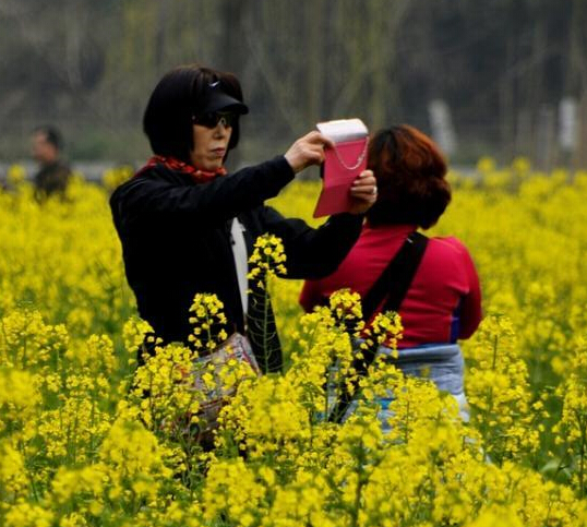 �����żҽ�����Դ ��Ӱ�ɷ��조���ˡ���