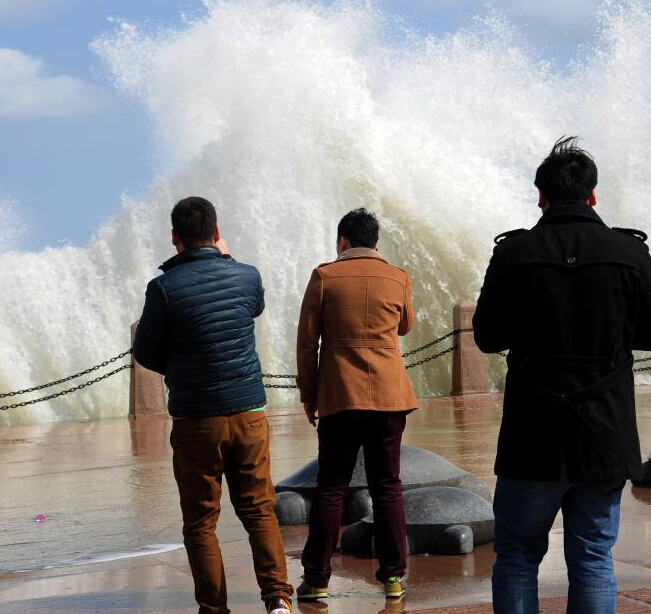 ɽ����̨�����������İ�����