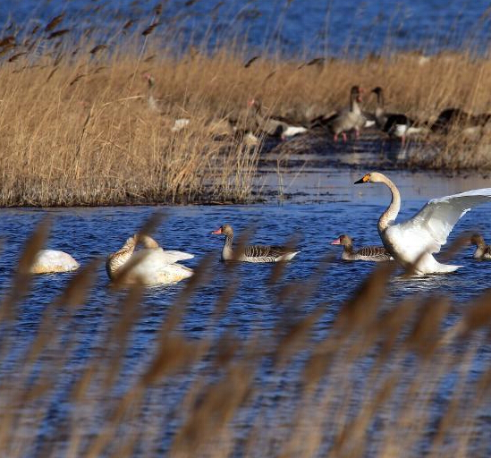 ��򱱴��ʪ�ؽ������Ǩ��߷弾��