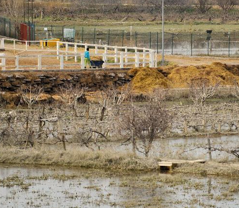 �����������޺����򱬷���ˮ��