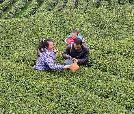 ������ʩ�����紺�迪�ɡ�