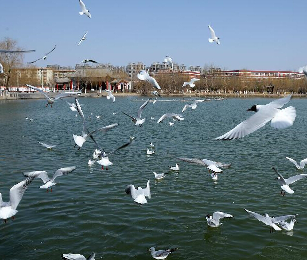 �������� �����輯��